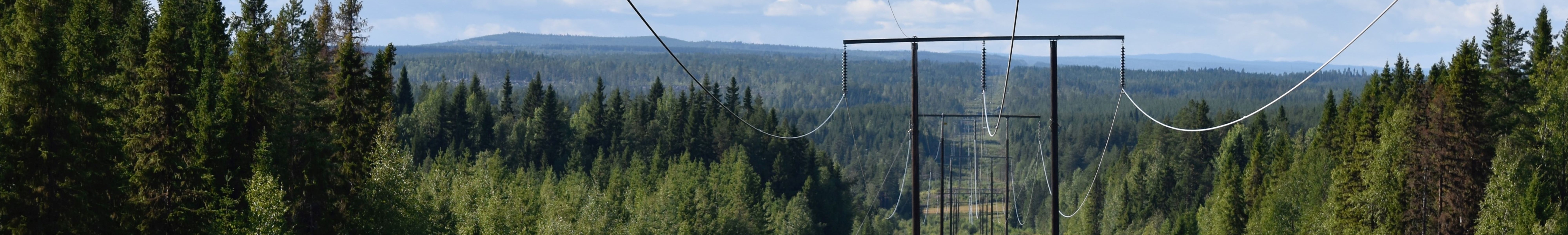 Electric power lines